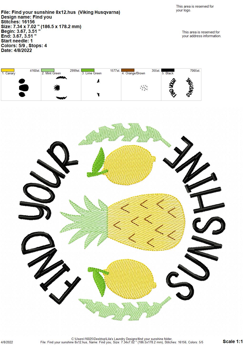 Find Your Sunshine - 4 sizes- Digital Embroidery Design